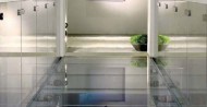 glass barriers / glass floor